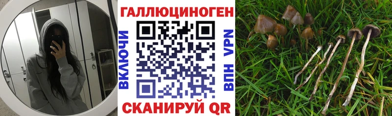 сайты даркнета наркотические препараты  где купить наркоту  Невель  Галлюциногенные грибы ЛСД 